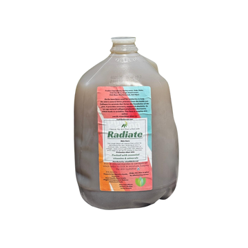 Radiate Skin Cleanse Drink